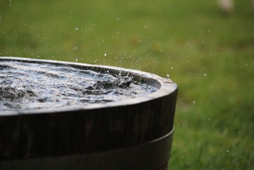 Featured image for “Tips for Creating a Rainwater Collection System”
